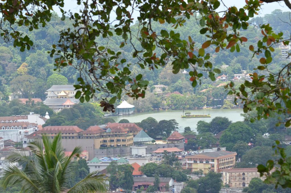 The Buena Vista Kandy Dış mekan fotoğraf