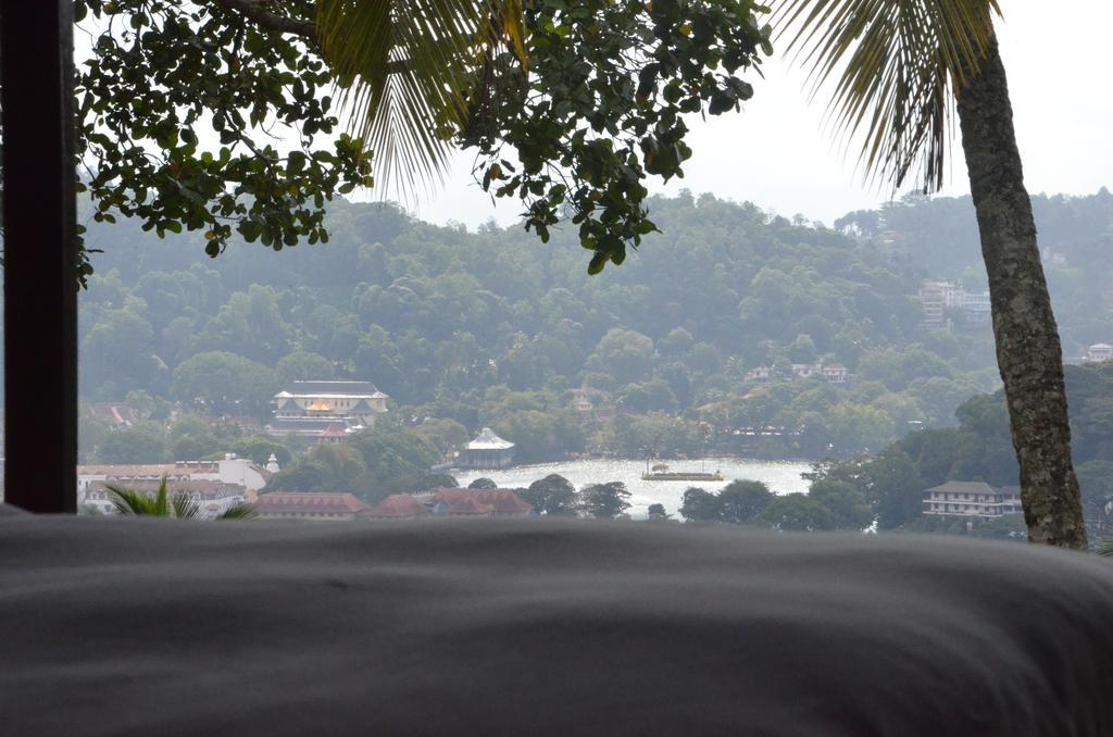 The Buena Vista Kandy Oda fotoğraf